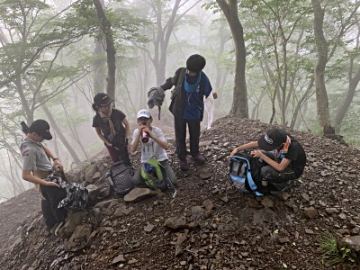 6月活動「隊;ワンバーナーハイク@大山」 雨降り山